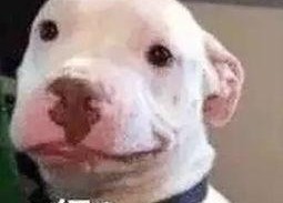 微信公众号娱乐圈吃瓜,揭秘明星背后的故事与真相